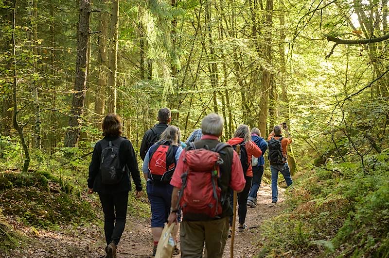 Das Biosphärenreservat Pfälzerwald lockt durch seine Schönheit zahlreiche Menschen in die Natur. (Foto: Biosphärenreservat/Ralf Ziegler)