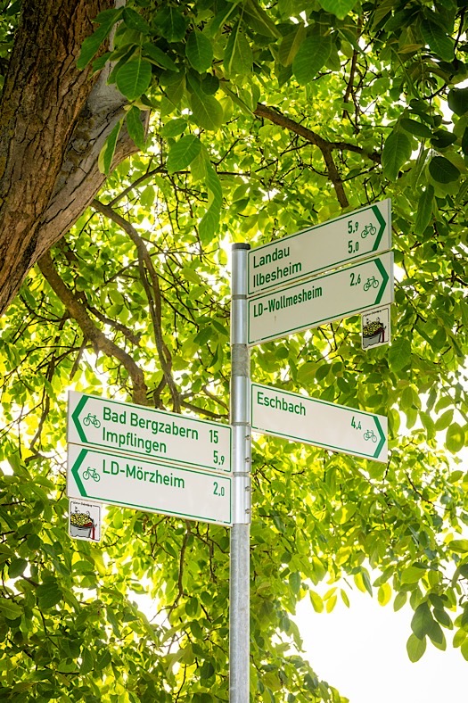 HBR-Beschilderung am Winzer-Radrundweg zwischen Ilbesheim und Siebeldingen (Foto: CC-BY-SA Pfalz Touristik, Dominik Ketz)