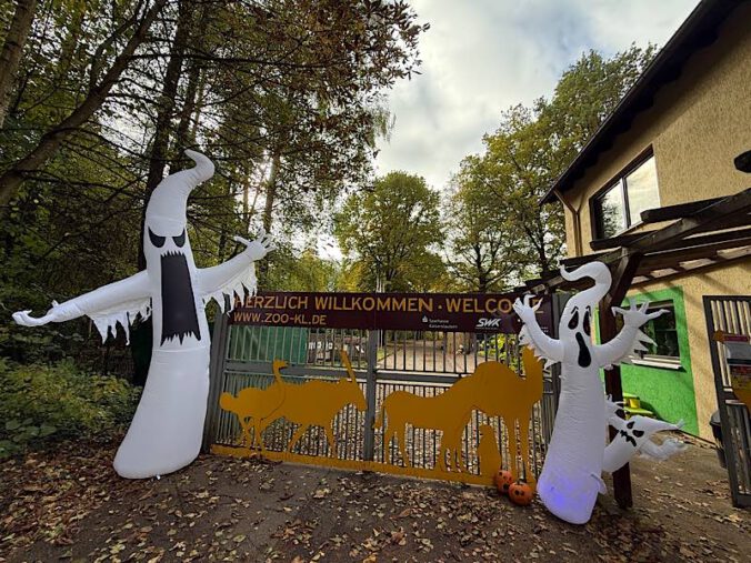 Halloween (Foto: Zoo KL/Rödler)